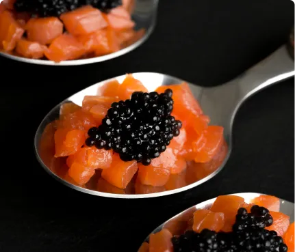 Premium seafood presentation for specialty markets, featuring curated salmon and caviar selections for discerning customers and high-end retail standards