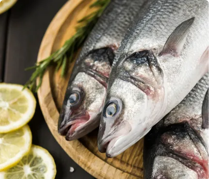 Fresh whole fish prepared for grocery and retail seafood programs, emphasizing traceability, consistent quality, and shopper-ready presentation