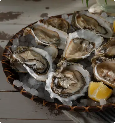 oysters on tray with lemon