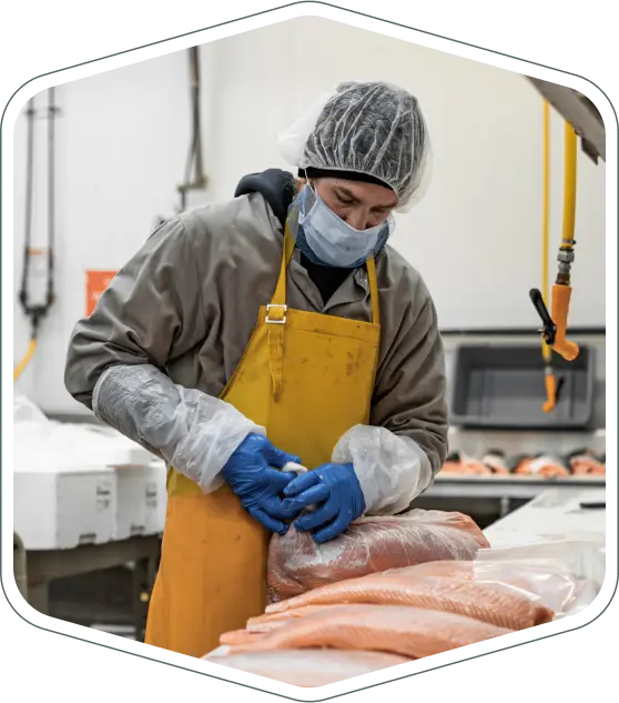 Trabajador inspeccionando filetes de pescado