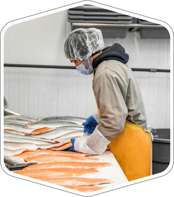 Trabajador fileteando salmón