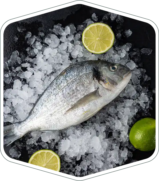 Pescado entero fresco sobre hielo con limón