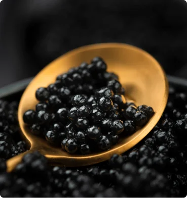 Perlas de caviar negro en cuchara